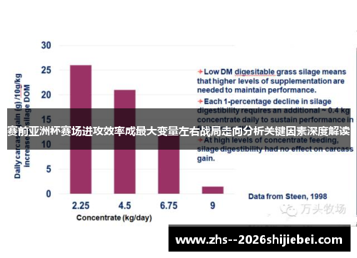 赛前亚洲杯赛场进攻效率成最大变量左右战局走向分析关键因素深度解读 赛前亚洲杯赛场进攻效率成最大变量左右战局走向分析关键因素深度解读
